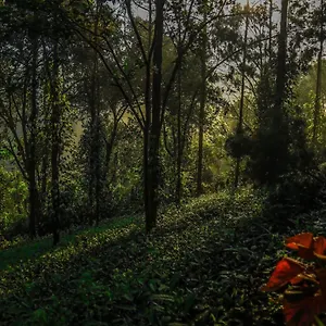https://southern-panorama-indriya-resorts-spa.kerala-hotels.net